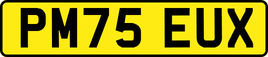 PM75EUX