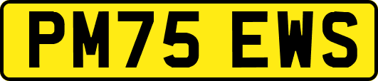 PM75EWS