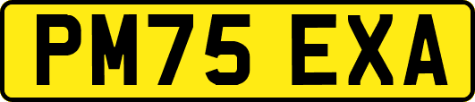 PM75EXA