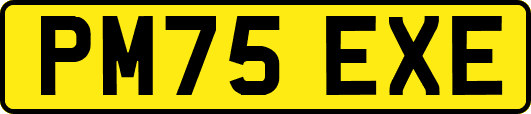 PM75EXE