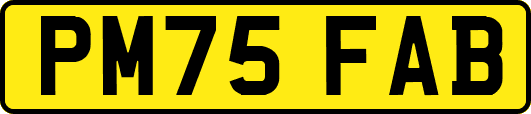 PM75FAB