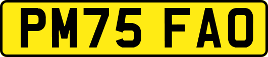 PM75FAO