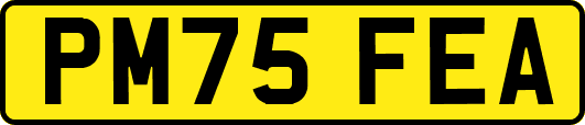 PM75FEA
