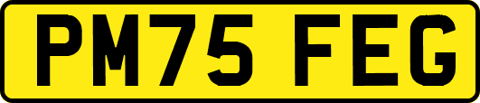 PM75FEG