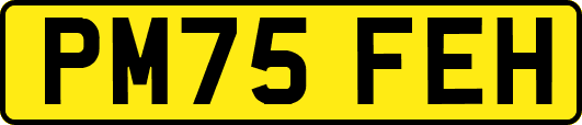 PM75FEH