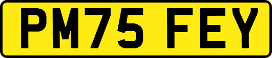 PM75FEY