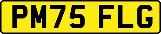 PM75FLG