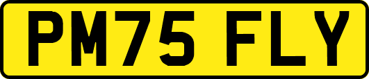 PM75FLY
