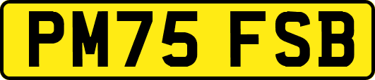 PM75FSB