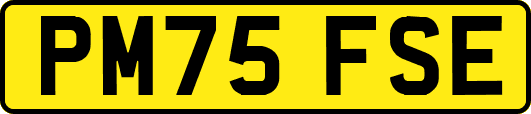 PM75FSE