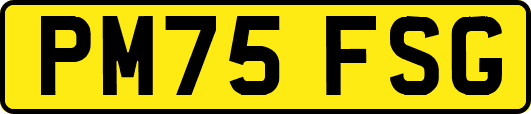 PM75FSG