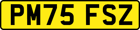 PM75FSZ