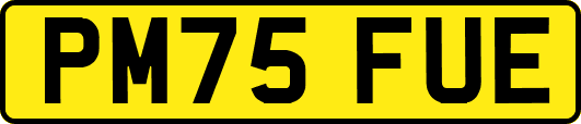 PM75FUE