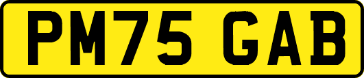 PM75GAB