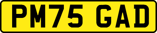 PM75GAD