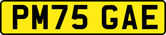 PM75GAE