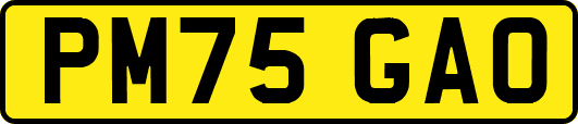 PM75GAO