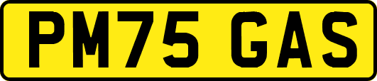 PM75GAS
