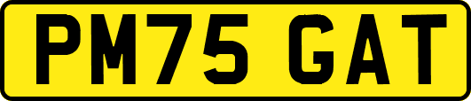 PM75GAT