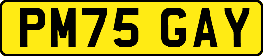 PM75GAY