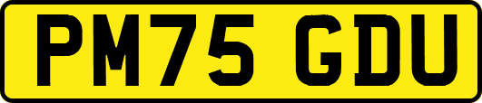 PM75GDU