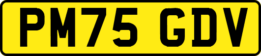 PM75GDV