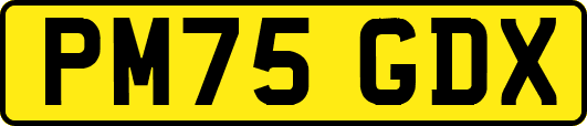 PM75GDX