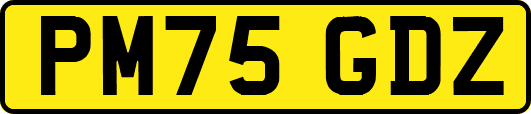 PM75GDZ