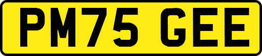 PM75GEE
