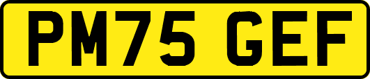 PM75GEF