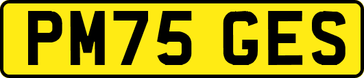 PM75GES