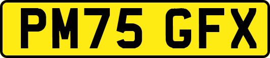 PM75GFX