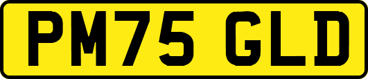 PM75GLD
