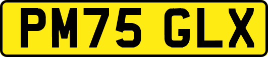 PM75GLX
