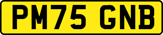 PM75GNB