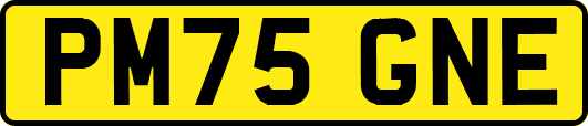 PM75GNE