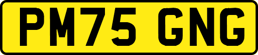 PM75GNG