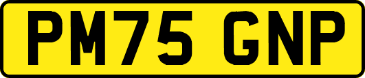PM75GNP