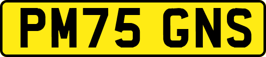 PM75GNS