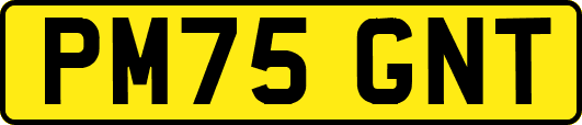 PM75GNT