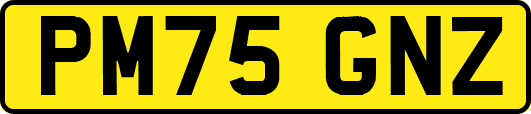 PM75GNZ