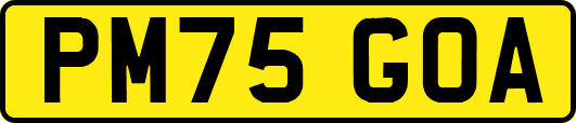 PM75GOA