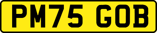 PM75GOB
