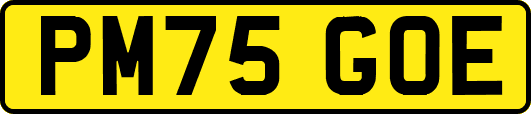 PM75GOE