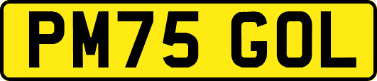 PM75GOL
