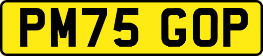 PM75GOP
