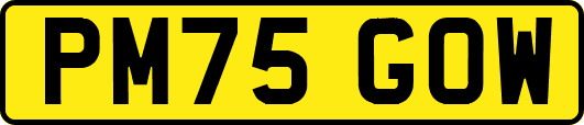 PM75GOW