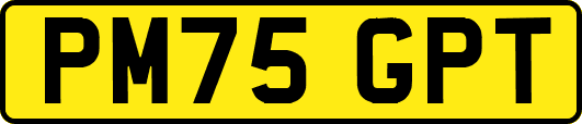 PM75GPT