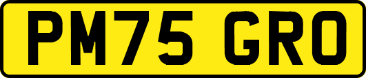 PM75GRO