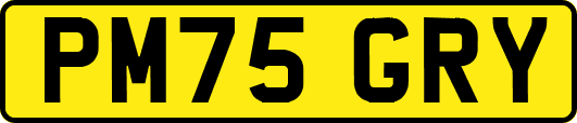 PM75GRY